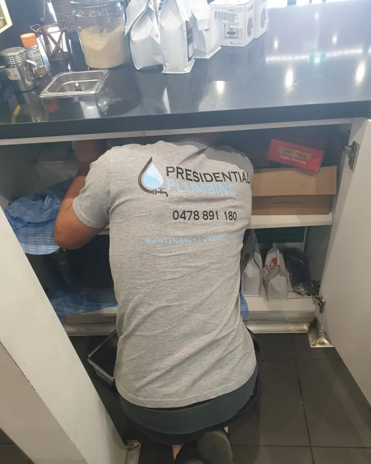 Presidential Plumbing Group technician repairing a kitchen sink