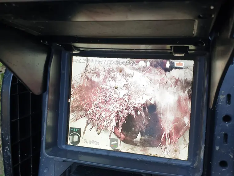 CCTV drain camera monitor showing tree root intrusion inside a pipe